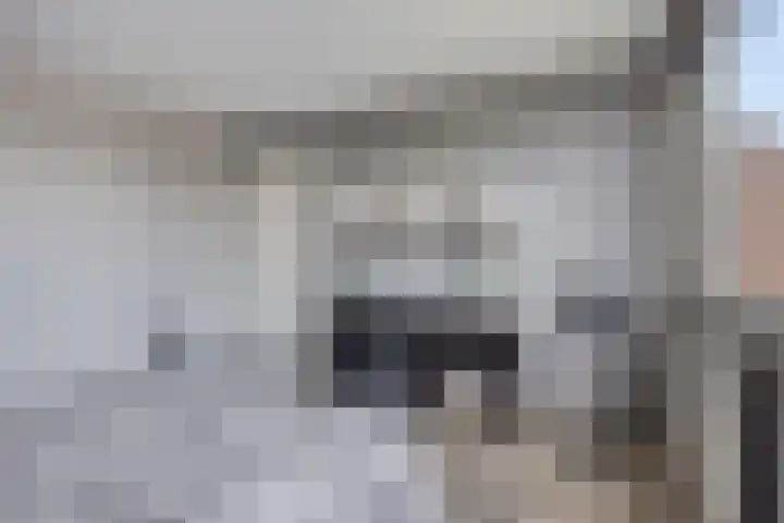 Robijn 15 's-Hertogenbosch thumbnail 22