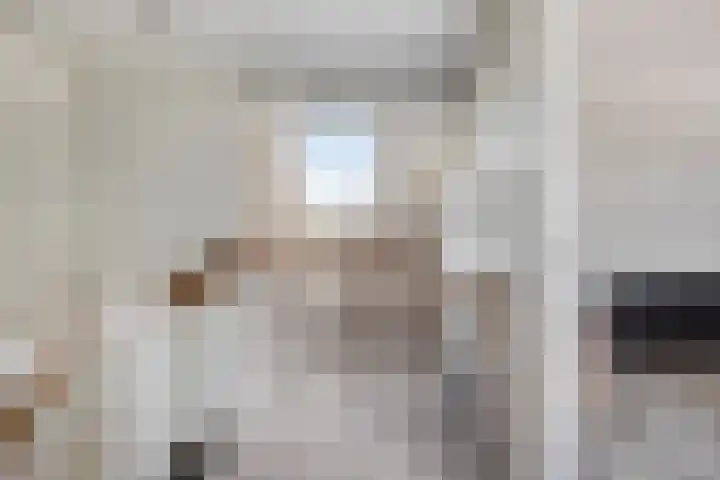 Robijn 15 's-Hertogenbosch thumbnail 27