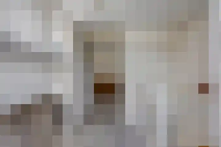 Robijn 15 's-Hertogenbosch thumbnail 28