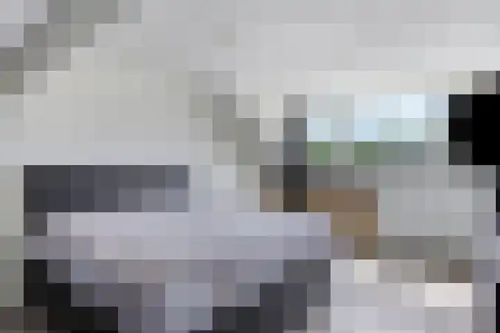 Robijn 15 's-Hertogenbosch thumbnail 29