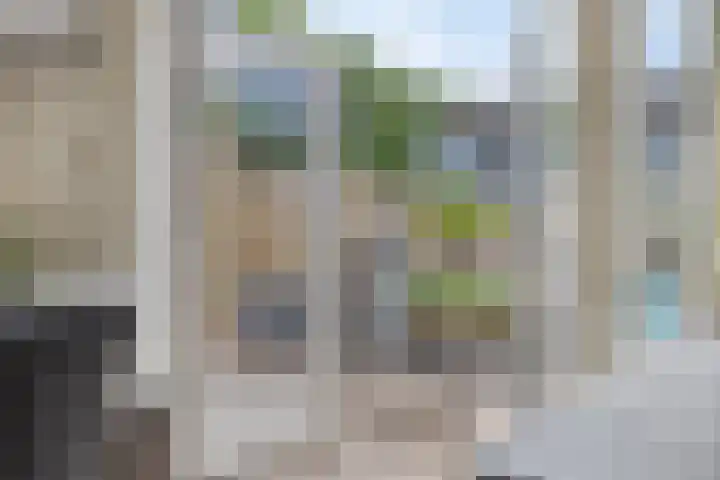 Robijn 15 's-Hertogenbosch thumbnail 33