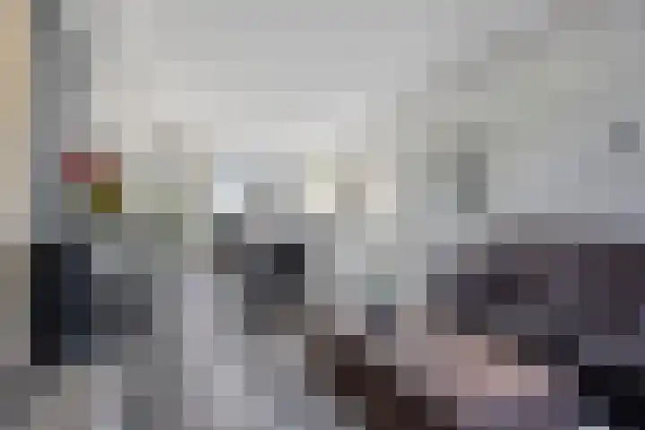 Robijn 15 's-Hertogenbosch thumbnail 4