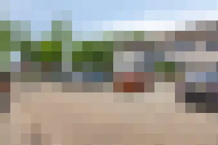 Robijn 15 's-Hertogenbosch thumbnail 44