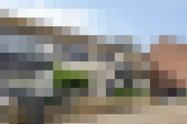 Robijn 15 's-Hertogenbosch thumbnail 46