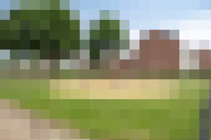 Robijn 15 's-Hertogenbosch thumbnail 48