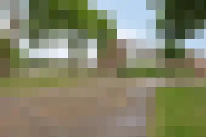 Robijn 15 's-Hertogenbosch thumbnail 49