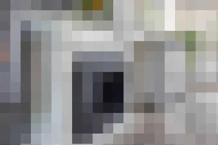 Robijn 15 's-Hertogenbosch thumbnail 5