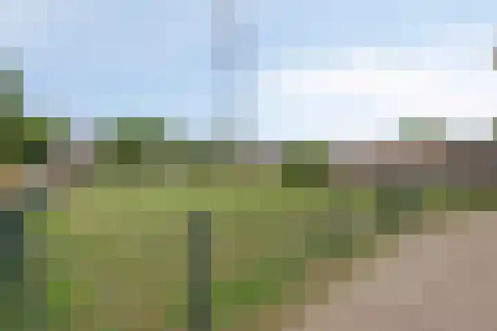 Robijn 15 's-Hertogenbosch thumbnail 50