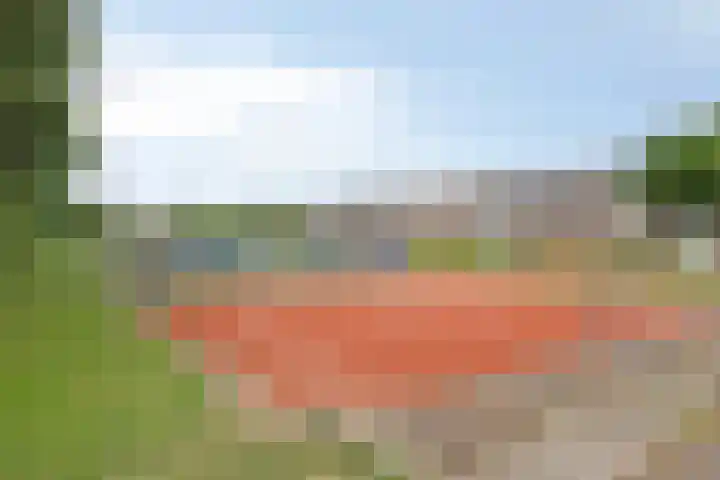 Robijn 15 's-Hertogenbosch thumbnail 51
