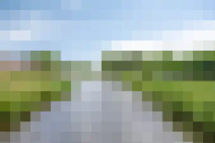 Robijn 15 's-Hertogenbosch thumbnail 52