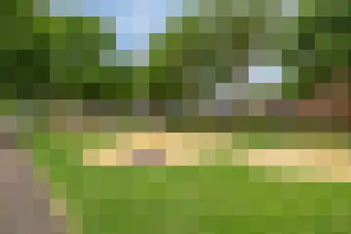 Robijn 15 's-Hertogenbosch thumbnail 54