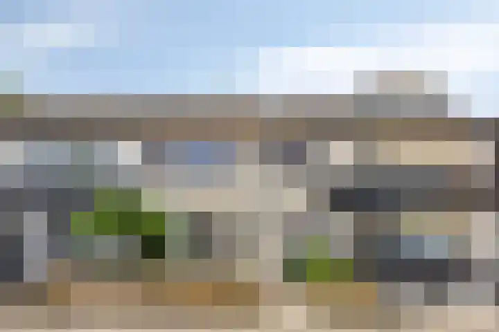 Robijn 15 's-Hertogenbosch thumbnail 60