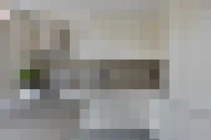 Robijn 15 's-Hertogenbosch thumbnail 9