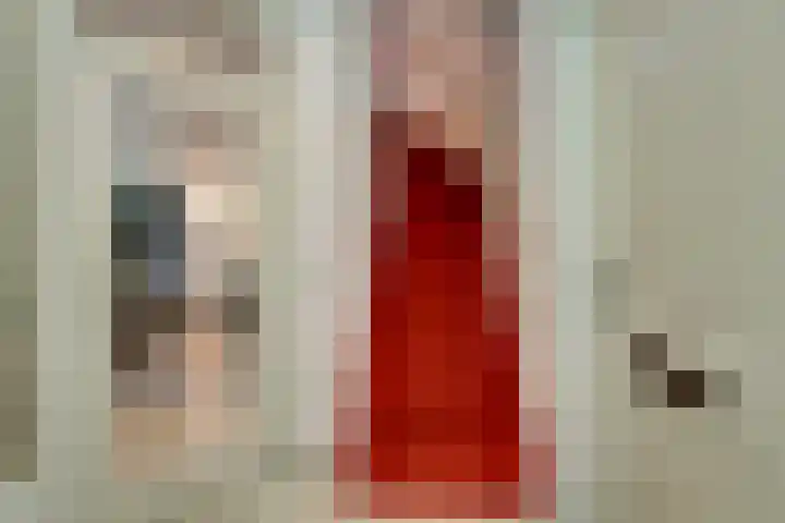 Robijn 16 Hoorn thumbnail 16