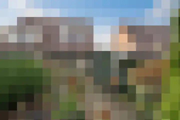 Robijn 16 Hoorn thumbnail 17
