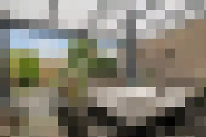 Robijn 16 Hoorn thumbnail 18