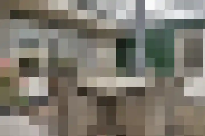 Robijn 16 Hoorn thumbnail 20