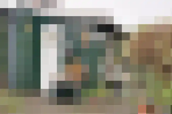 Robijn 16 Hoorn thumbnail 21