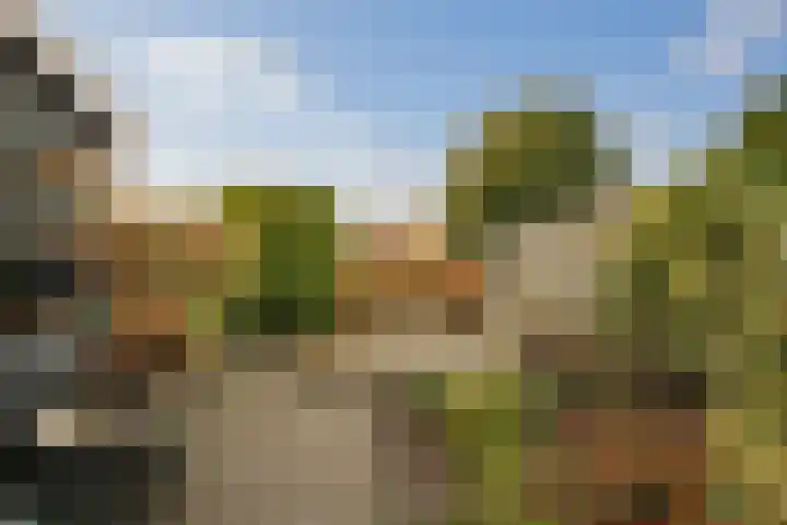 Robijn 16 Hoorn thumbnail 22
