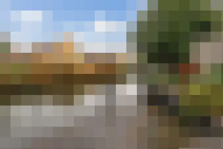 Robijn 16 Hoorn thumbnail 23