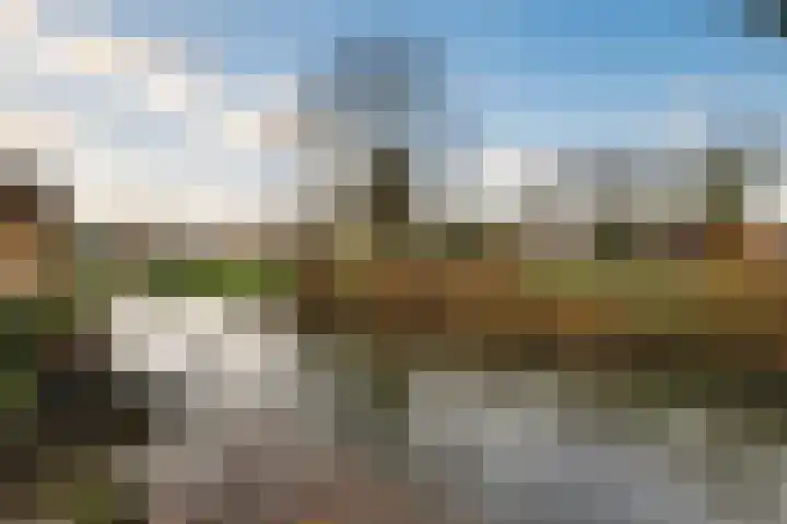 Robijn 16 Hoorn thumbnail 24
