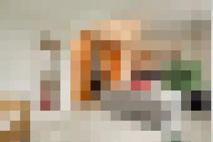 Robijn 16 Hoorn thumbnail 26