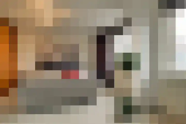 Robijn 16 Hoorn thumbnail 27