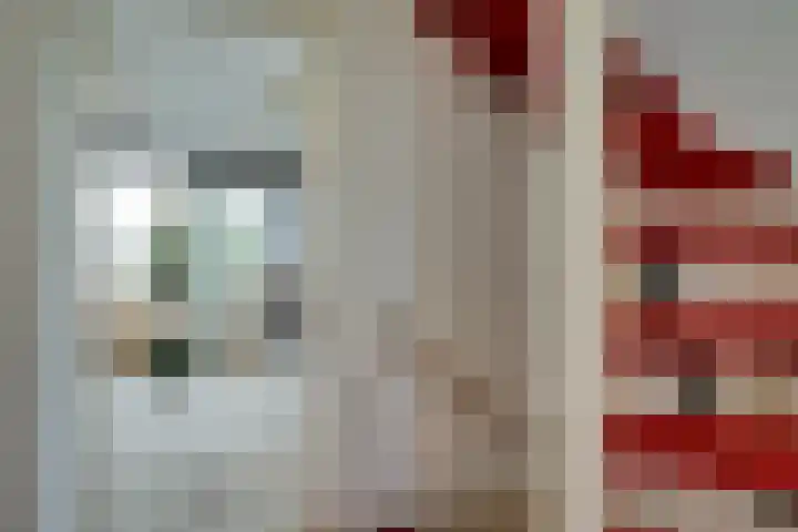 Robijn 16 Hoorn thumbnail 37