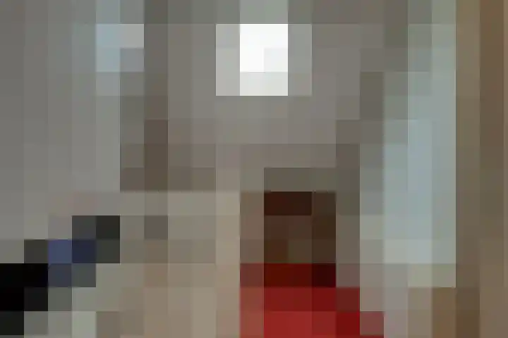Robijn 16 Hoorn thumbnail 39