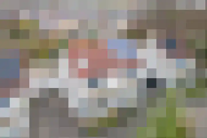 Robijn 16 Hoorn thumbnail 43