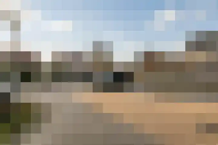 Robijn 16 Hoorn thumbnail 46
