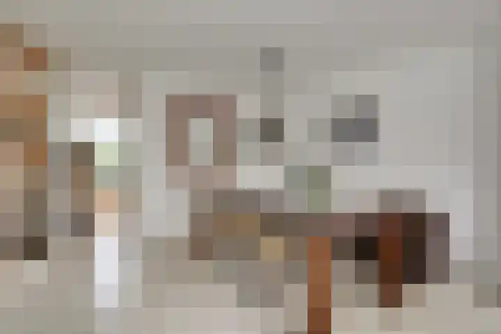 Robijn 16 Hoorn thumbnail 8