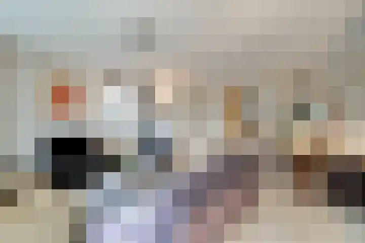 Robijn 16 Hoorn thumbnail 9