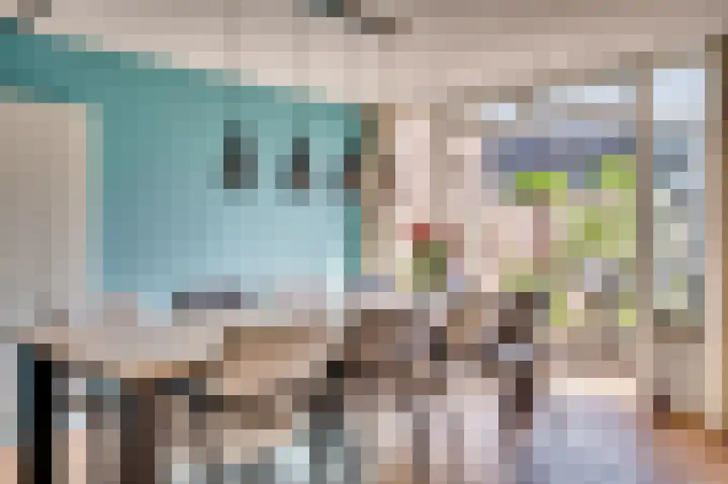 Robijn 17 Venlo thumbnail 14
