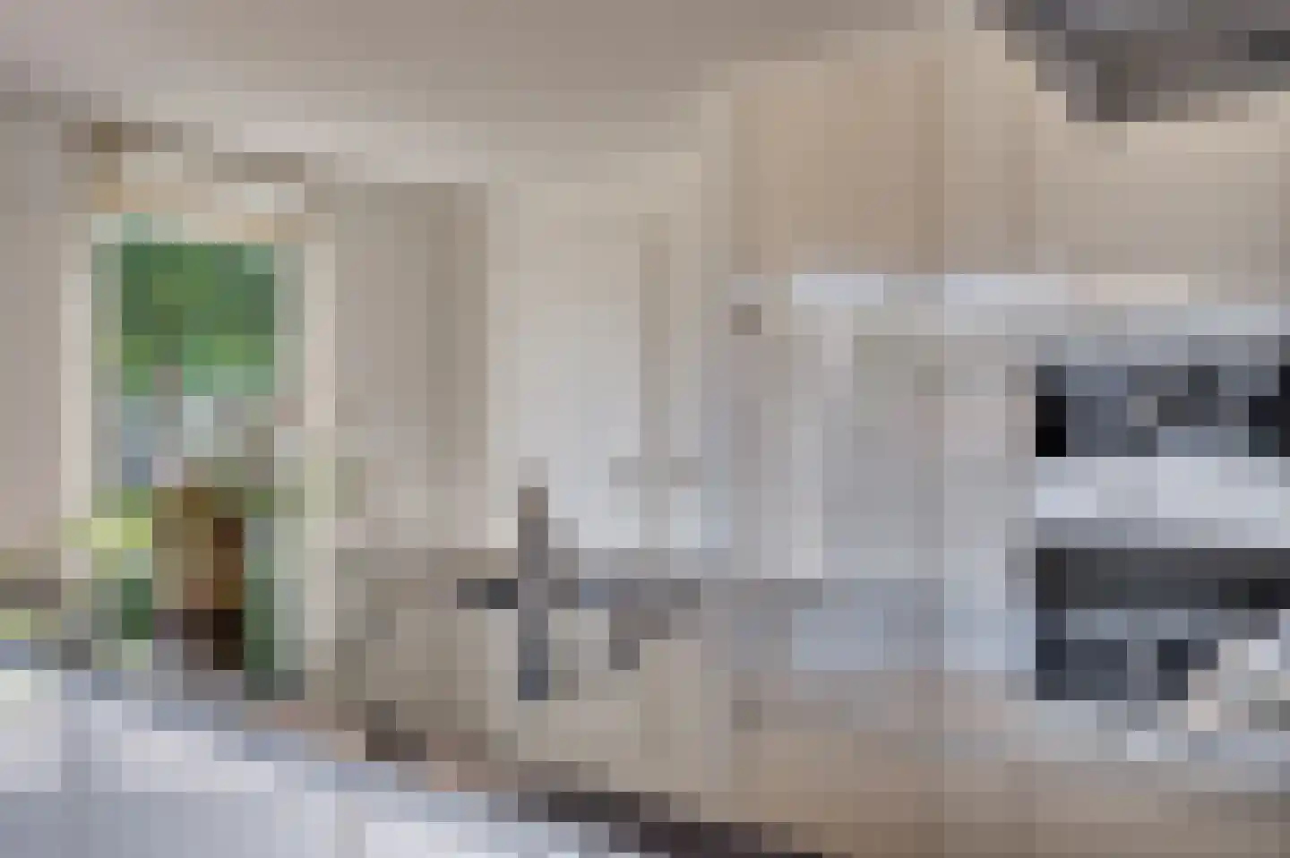 Robijn 17 Venlo thumbnail 19
