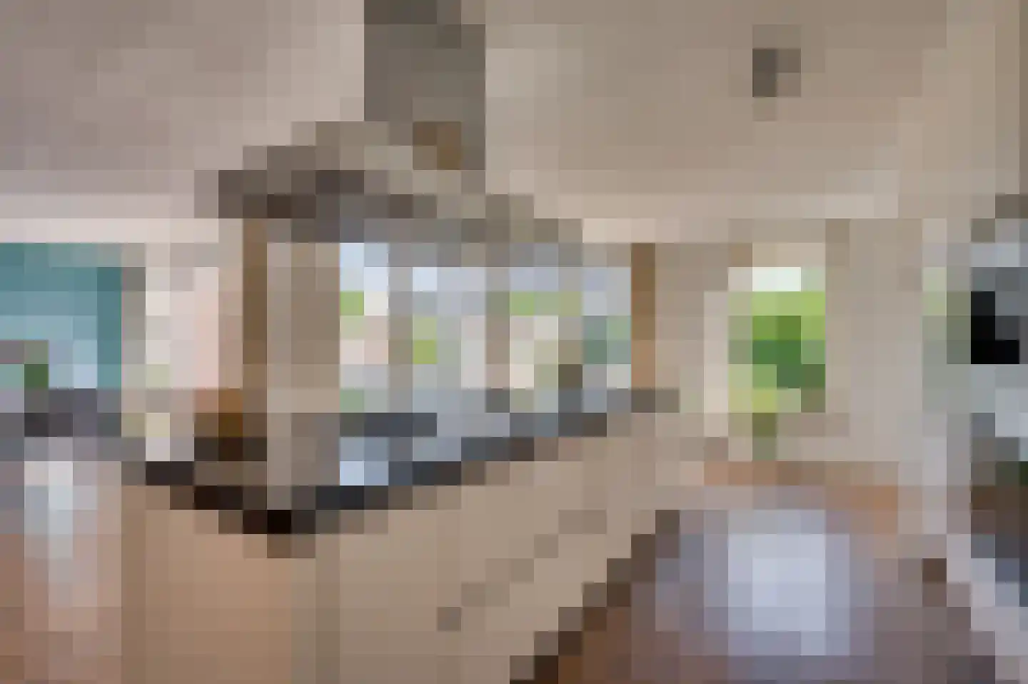 Robijn 17 Venlo thumbnail 20