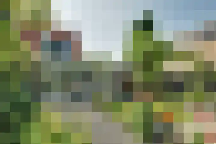 Robijn 18 Hoorn thumbnail 20