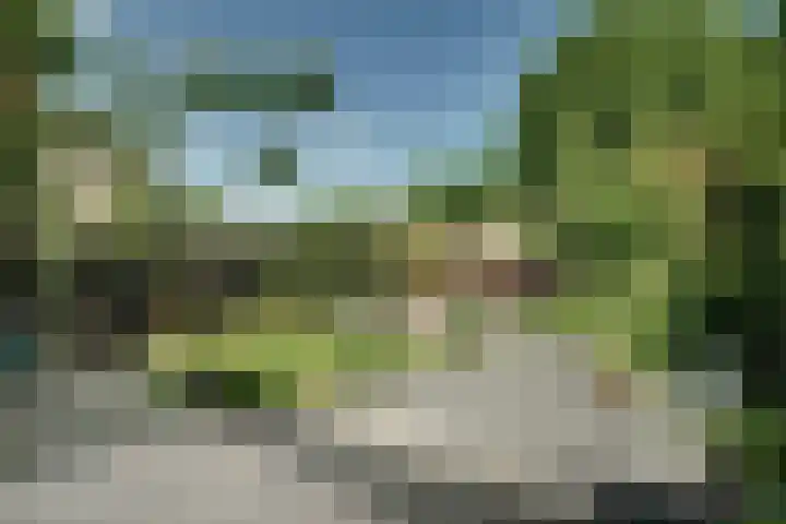 Robijn 18 Hoorn thumbnail 21