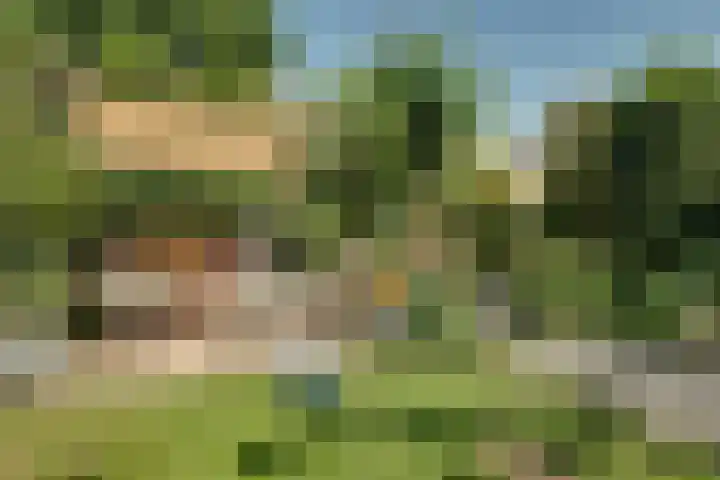 Robijn 18 Hoorn thumbnail 22