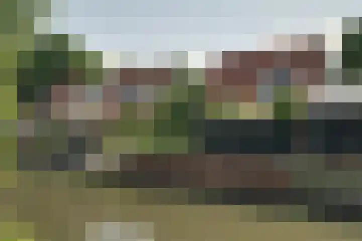 Robijn 18 Hoorn thumbnail 24