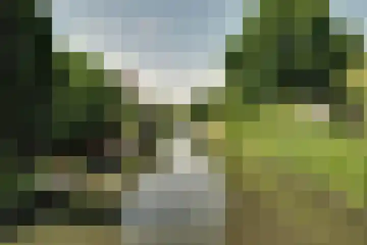 Robijn 18 Hoorn thumbnail 25
