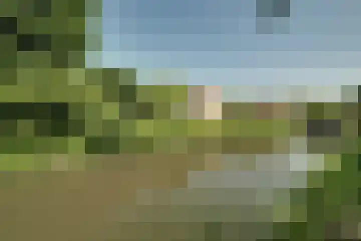 Robijn 18 Hoorn thumbnail 26