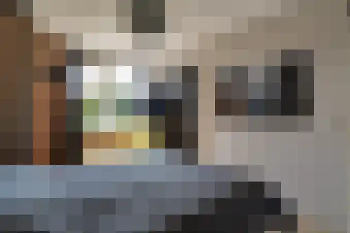 Robijn 18 Hoorn thumbnail 31