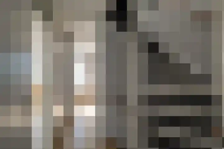 Robijn 18 Hoorn thumbnail 38