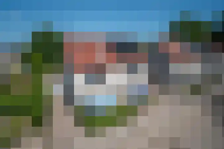 Robijn 18 Hoorn thumbnail 48