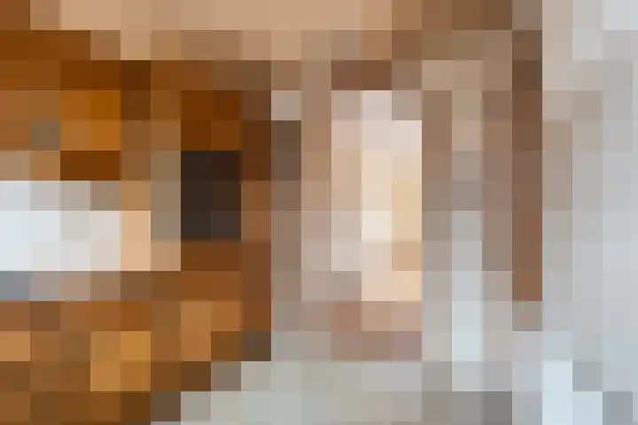 Robijn 2 's-Gravenzande thumbnail 13