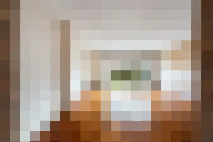 Robijn 2 's-Gravenzande thumbnail 14