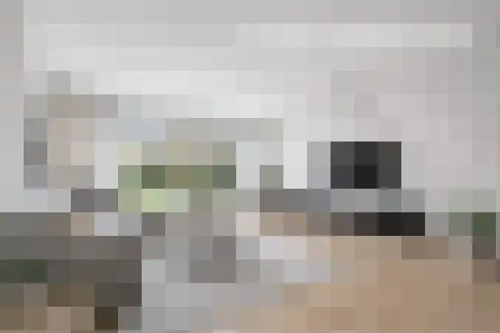 Robijn 2 's-Gravenzande thumbnail 17