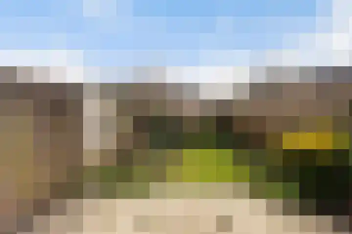 Robijn 2 's-Gravenzande thumbnail 4