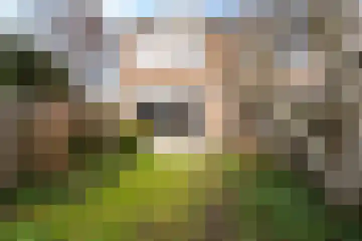 Robijn 2 's-Gravenzande thumbnail 41